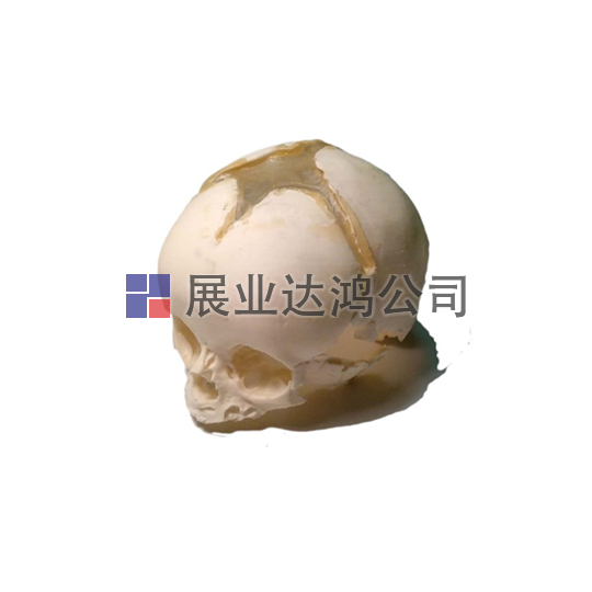<b>英國(guó)PI 新生兒頭骨模體</b>