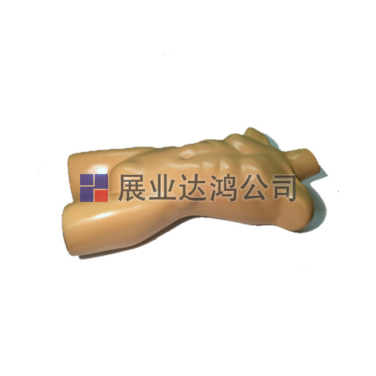 <b>英國(guó)PI 仿真人體軀干模體</b>