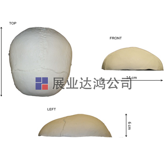 <b>英國(guó)PI 頭蓋骨模體</b>